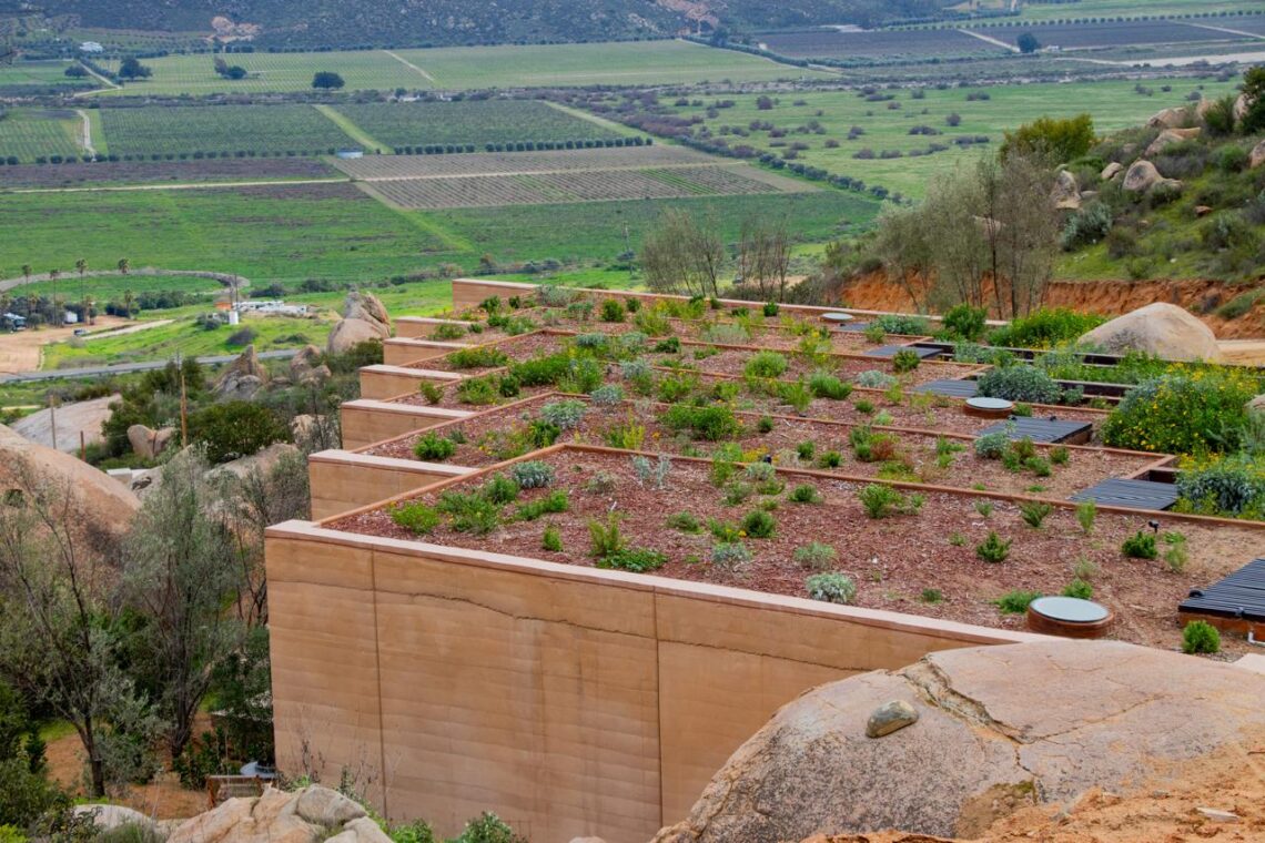 Infraestructura verde gana terreno en Tijuana frente a la crisis climática