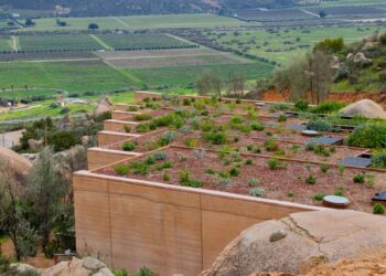 Infraestructura verde gana terreno en Tijuana frente a la crisis climática