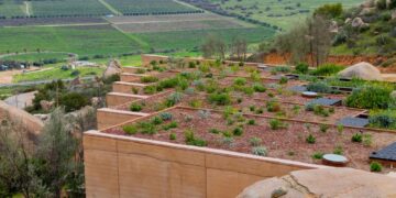 Infraestructura verde gana terreno en Tijuana frente a la crisis climática