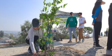 Trabaja Nación Verde en conservación de árboles en Tijuana