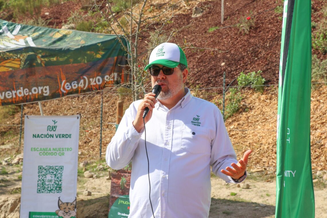 Convierte Nación Verde la compensación ambiental en una oportunidad estratégica para las empresas