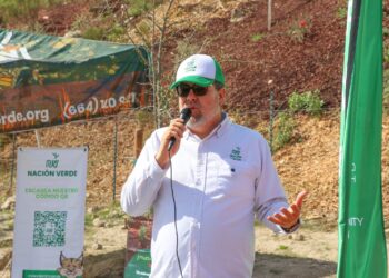 Convierte Nación Verde la compensación ambiental en una oportunidad estratégica para las empresas