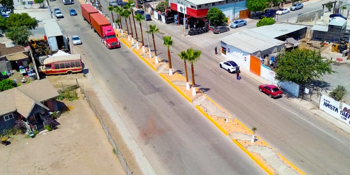 Transforma Nación Verde el espacio público con modelos de infraestructura verde sostenible