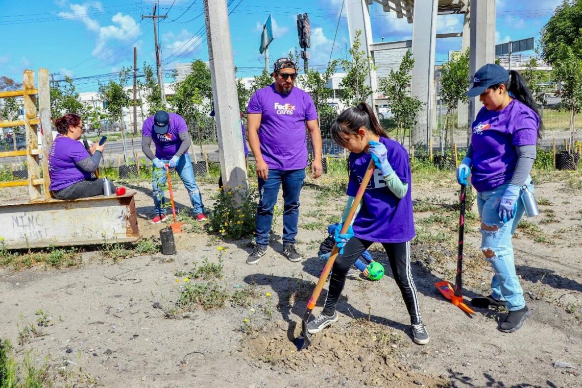Conecta Nación Verde a empresas con la restauración ecológica