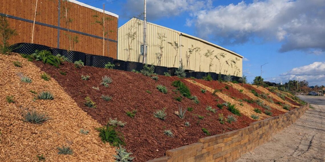 Plantea REDD rediseñar Tijuana con infraestructura verde