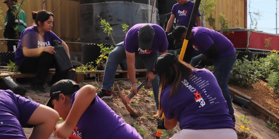 Suman esfuerzos Nación Verde y FedEx para restaurar ecosistemas