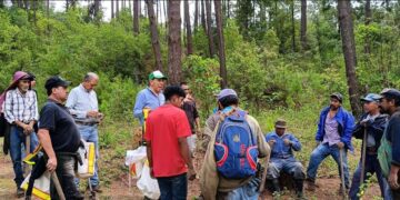 Fortalece Nación Verde alianzas para enfrentar el estrés hídrico