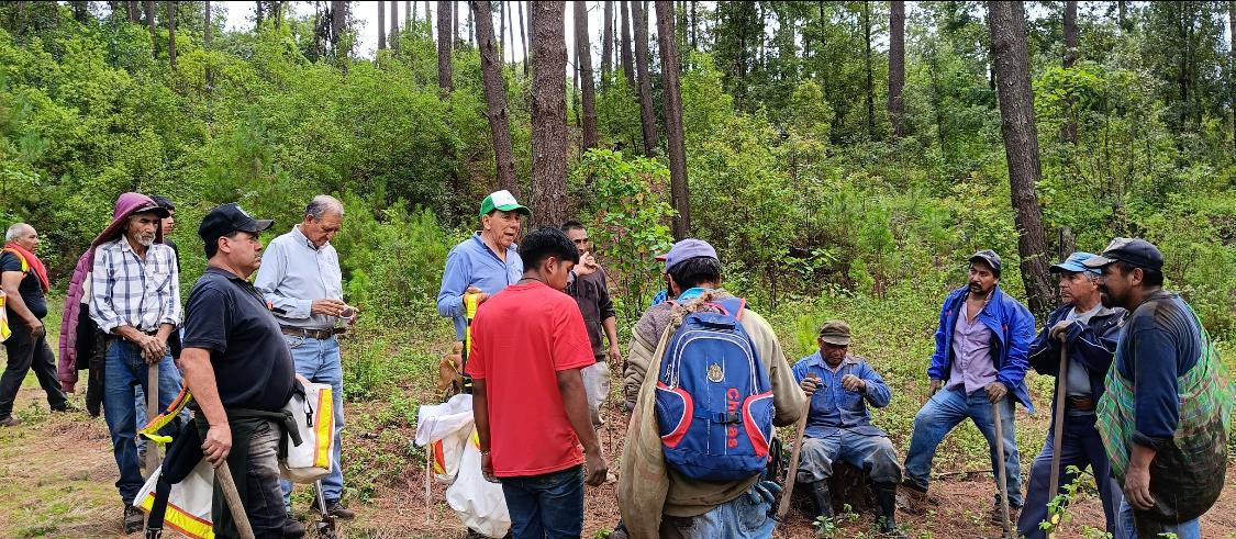 Fortalece Nación Verde alianzas para enfrentar el estrés hídrico