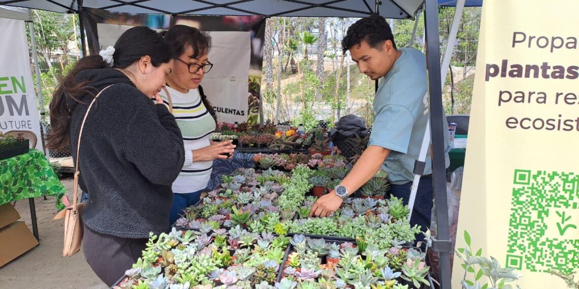 Reúne “Terra Fest 2026” a amantes del medio ambiente