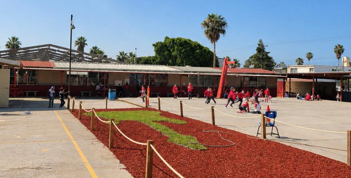 Renueva Nación Verde entorno escolar con soluciones basadas en la naturaleza