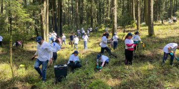 Convoca Nación Verde a empresas para restaurar ecosistemas