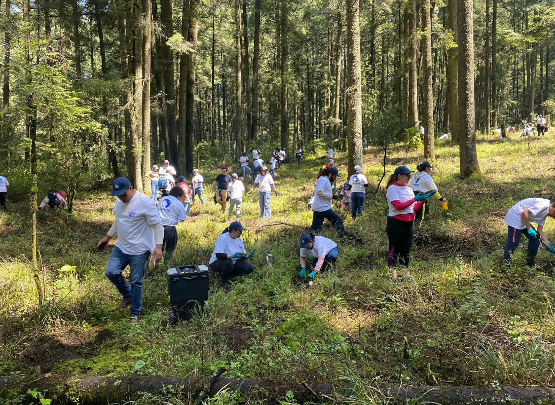 Convoca Nación Verde a empresas para restaurar ecosistemas