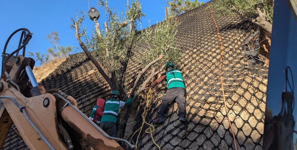 Proponen soluciones con vegetación nativa para prevenir deslaves