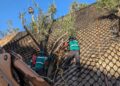 Proponen soluciones con vegetación nativa para prevenir deslaves
