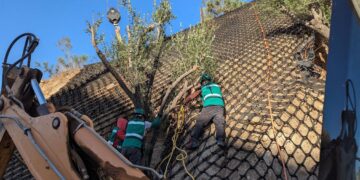 Proponen soluciones con vegetación nativa para prevenir deslaves