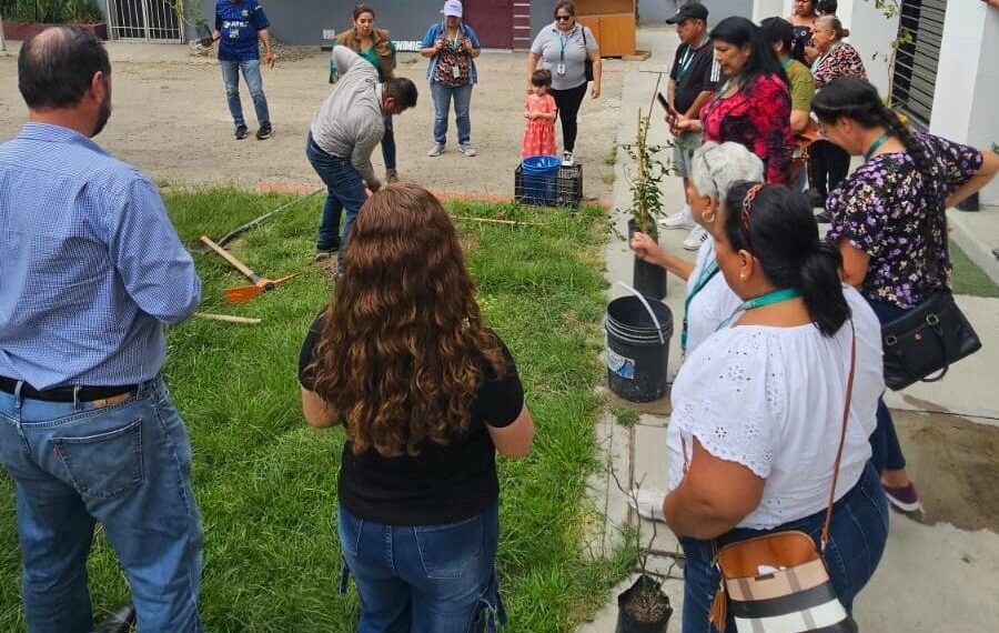 Capacita a Comisarios Sociales Honorarios en agricultura urbana y compostaje: XXV Ayuntamiento de Tijuana